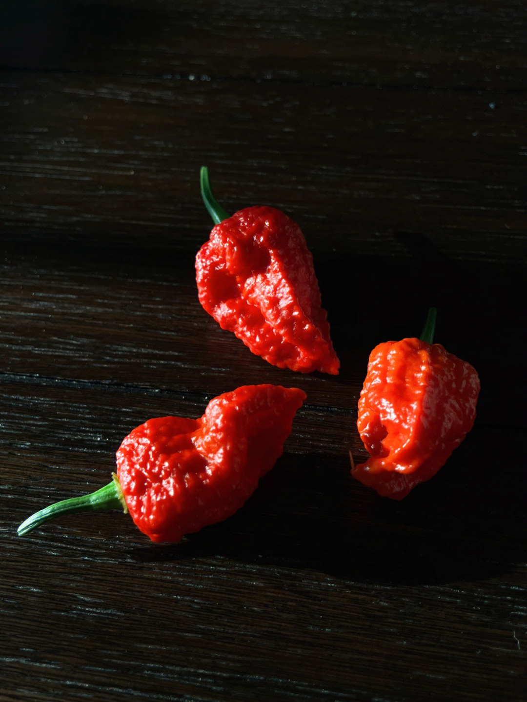 今早自家阳台收获的carolina reaper(卡罗莱纳死神辣椒)结得有点多了