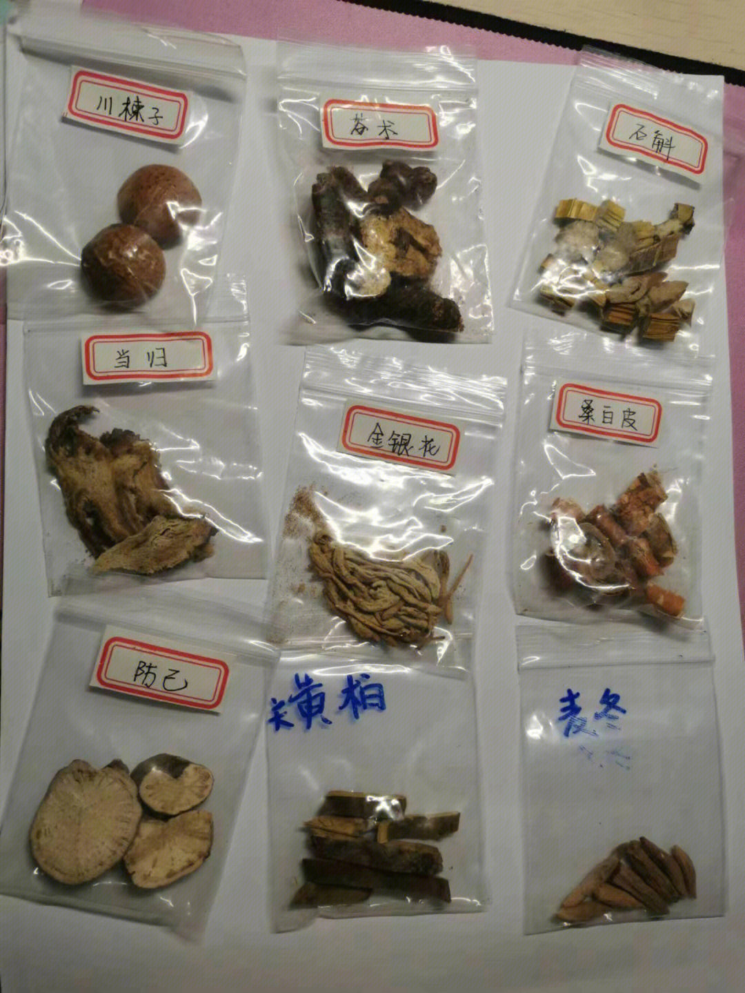 中药鉴定中药饮片识别