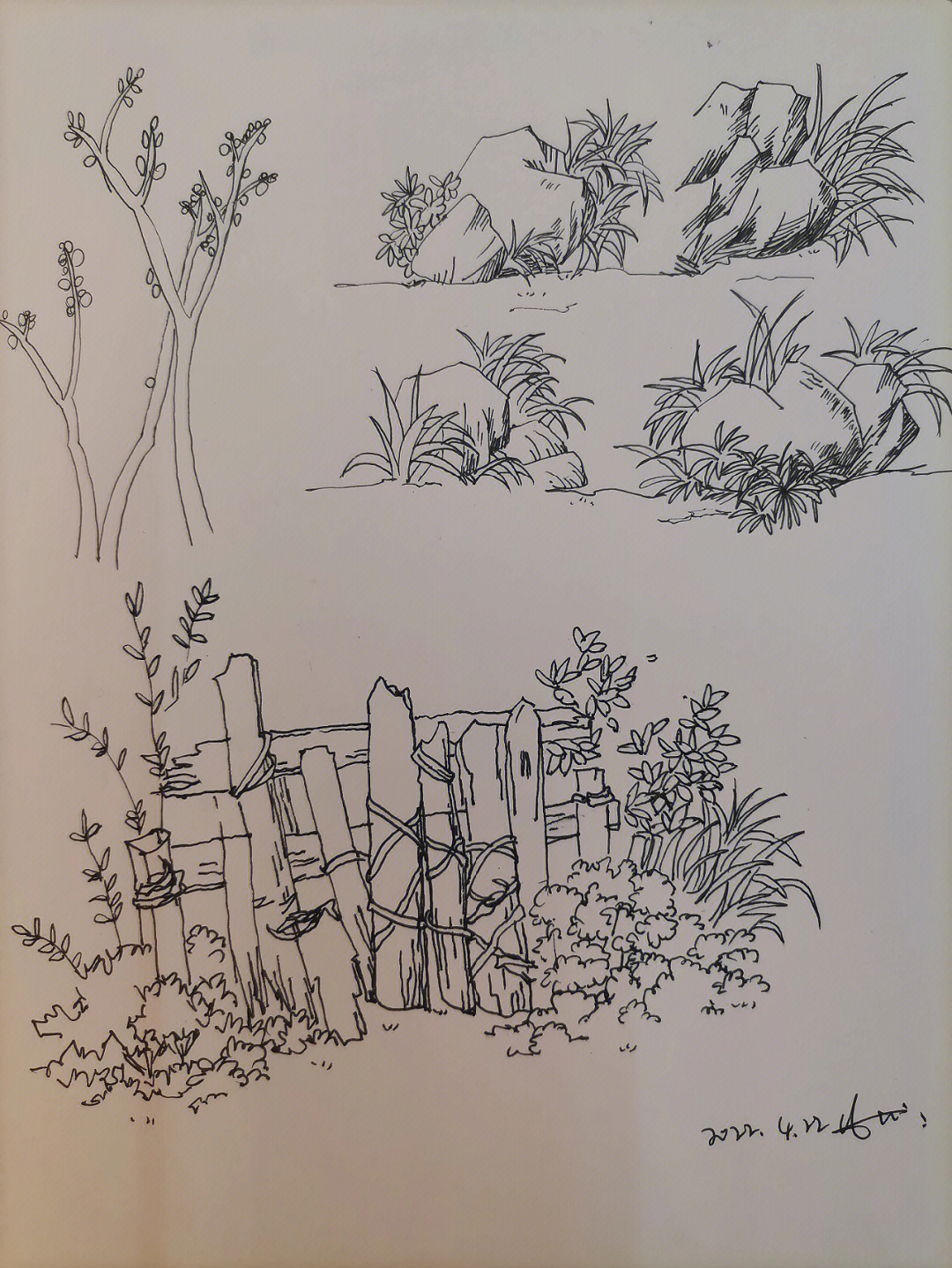 绿篱手绘线稿图片