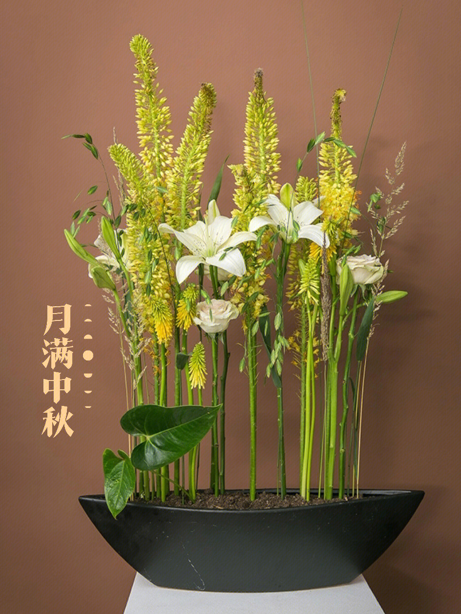 常见插花花材130种图片