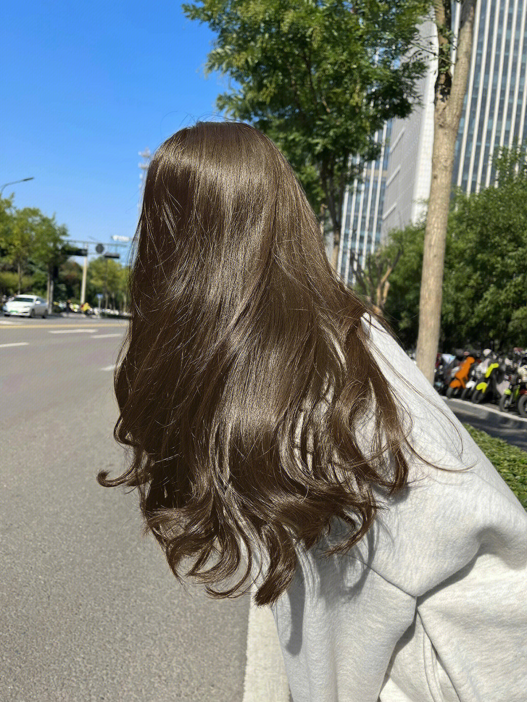 亚麻褐棕色头发效果图图片