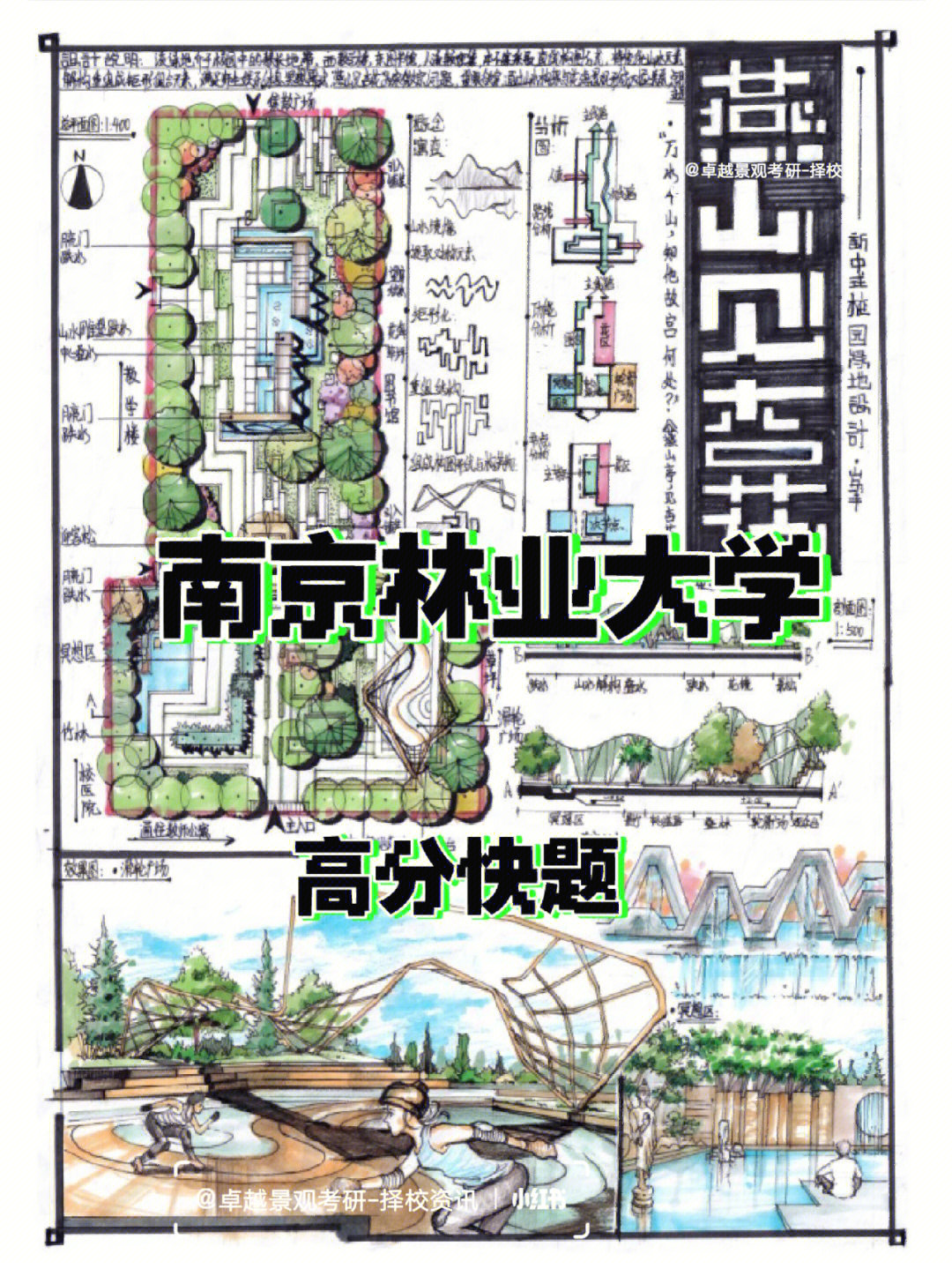 南京林业大学手绘地图图片