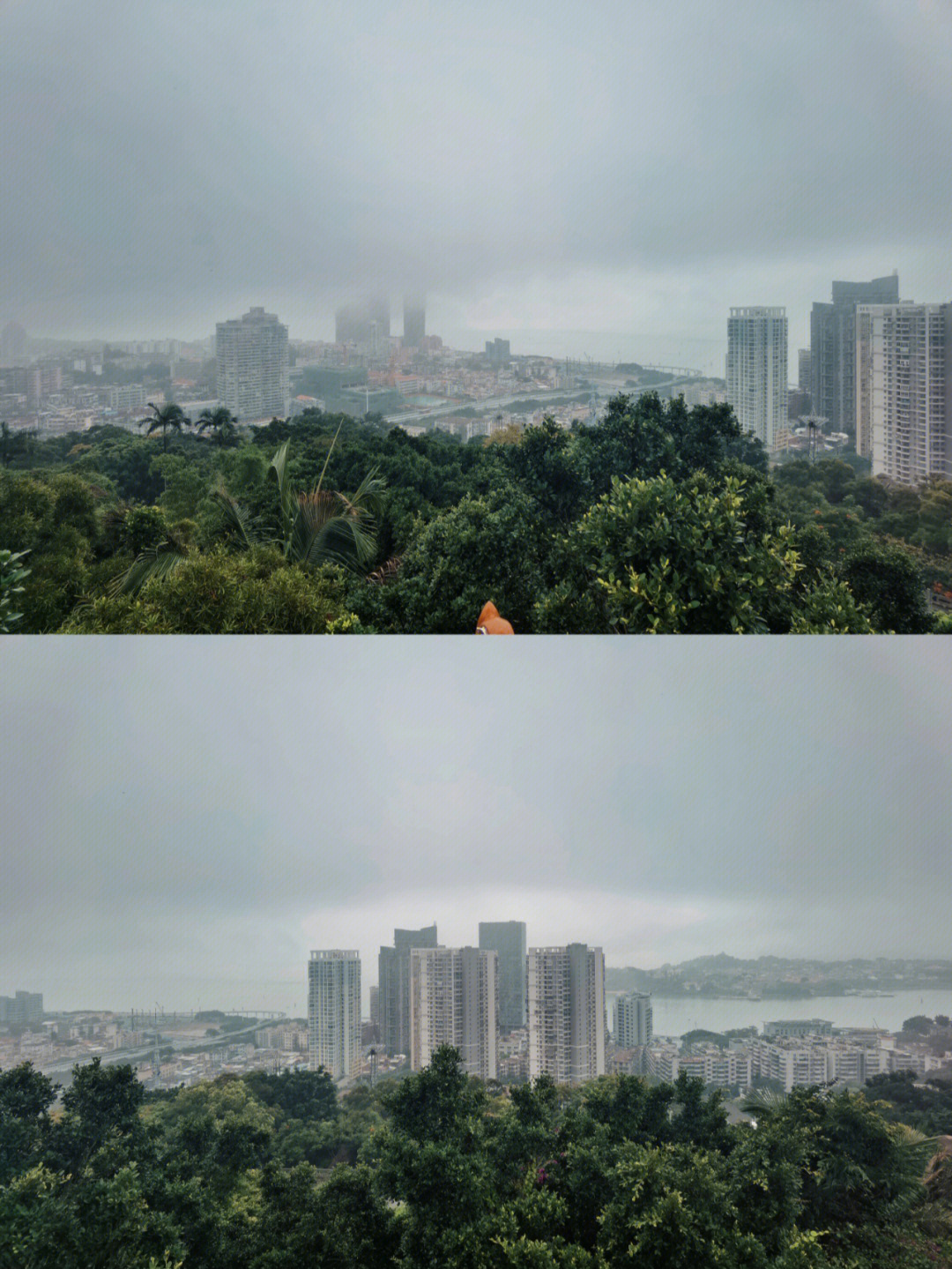 阴雨蒙蒙图片