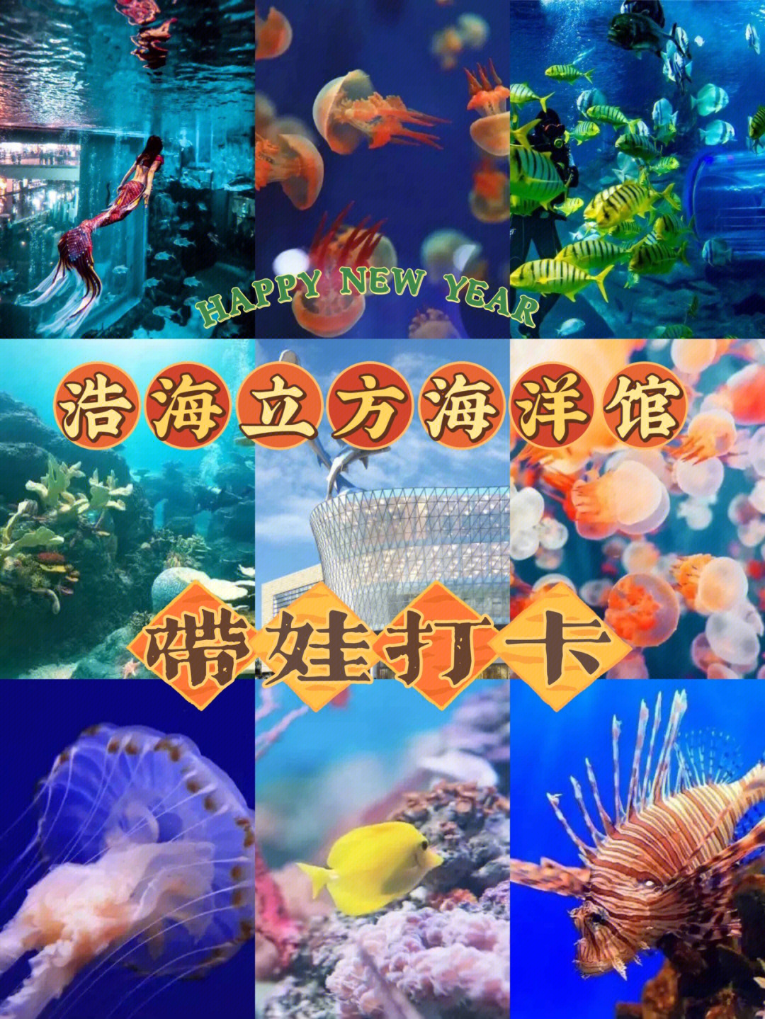 成都海滨城浩海立方海洋馆门票多少钱