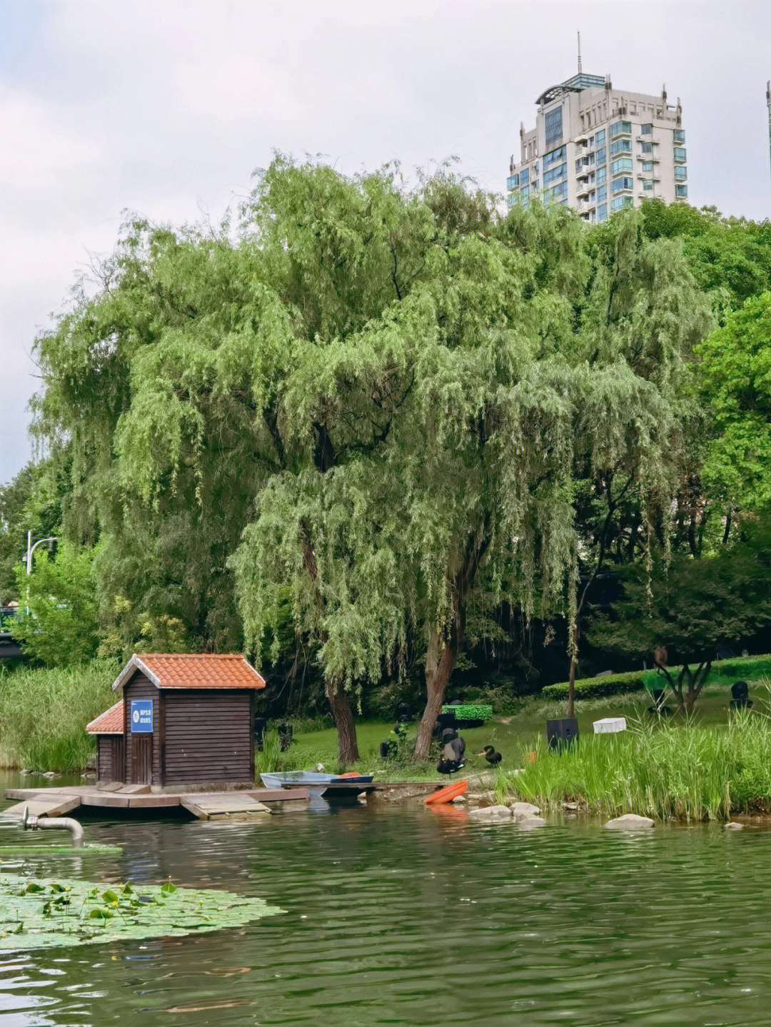 忽而今夏取景地图片