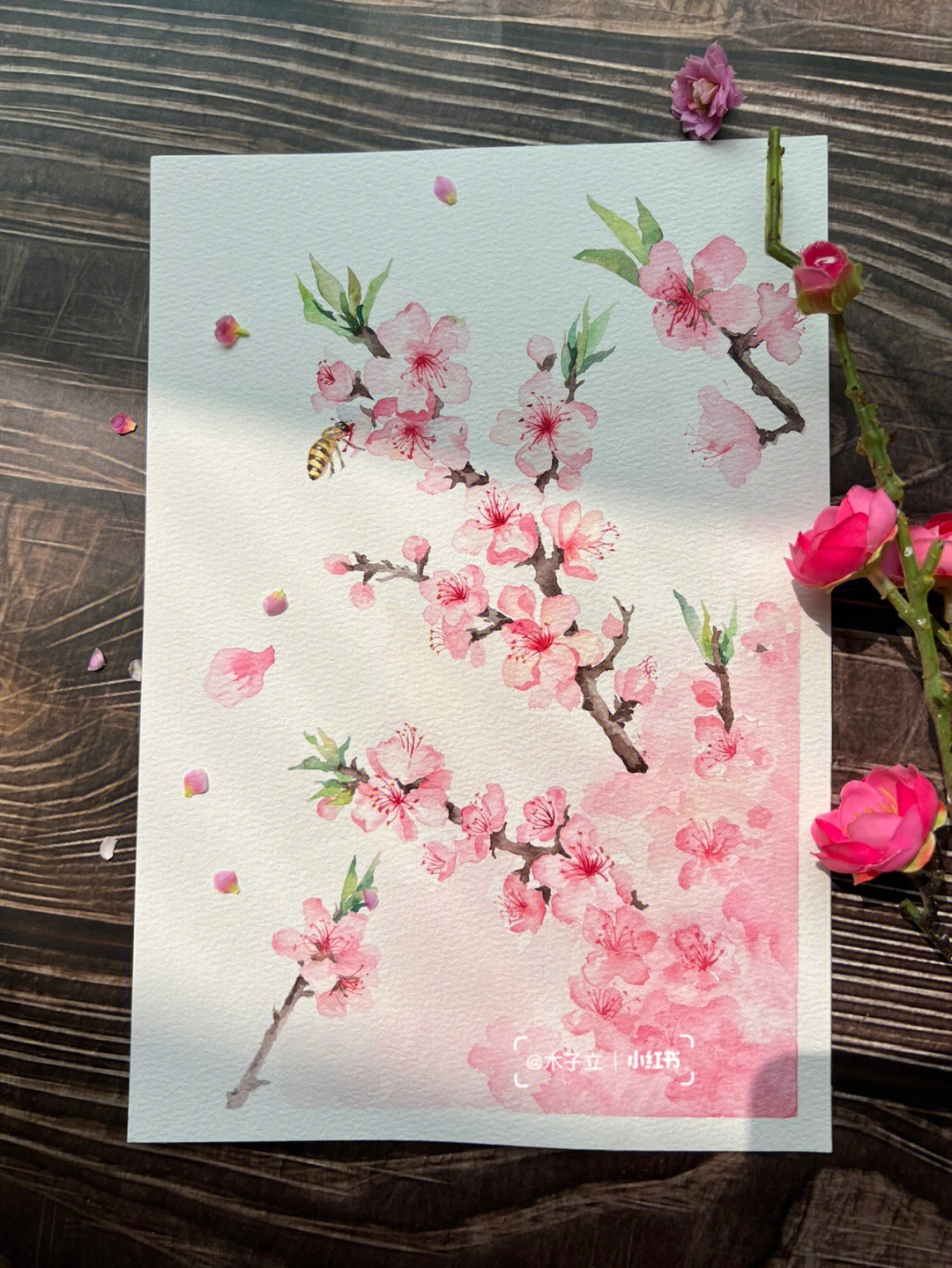 桃花林水彩画图片