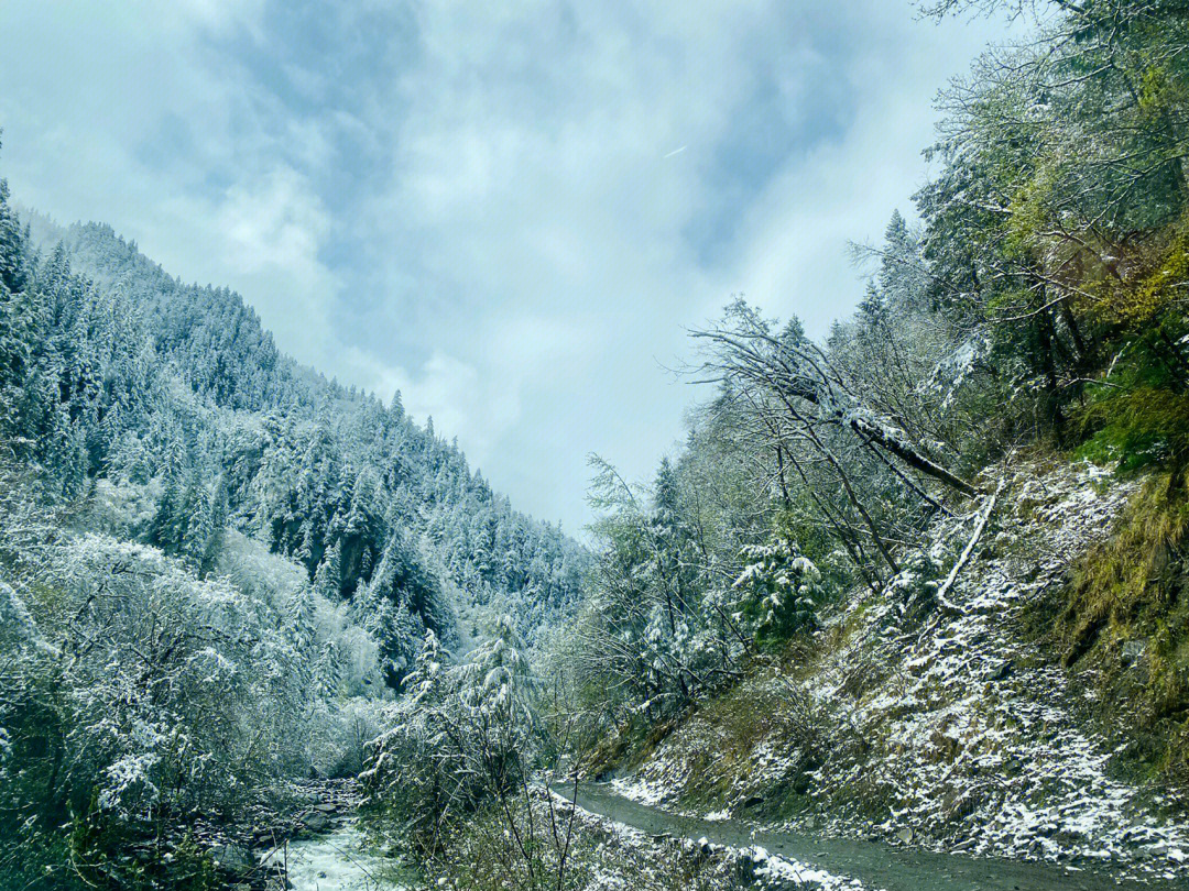 屯溪霸王山图片