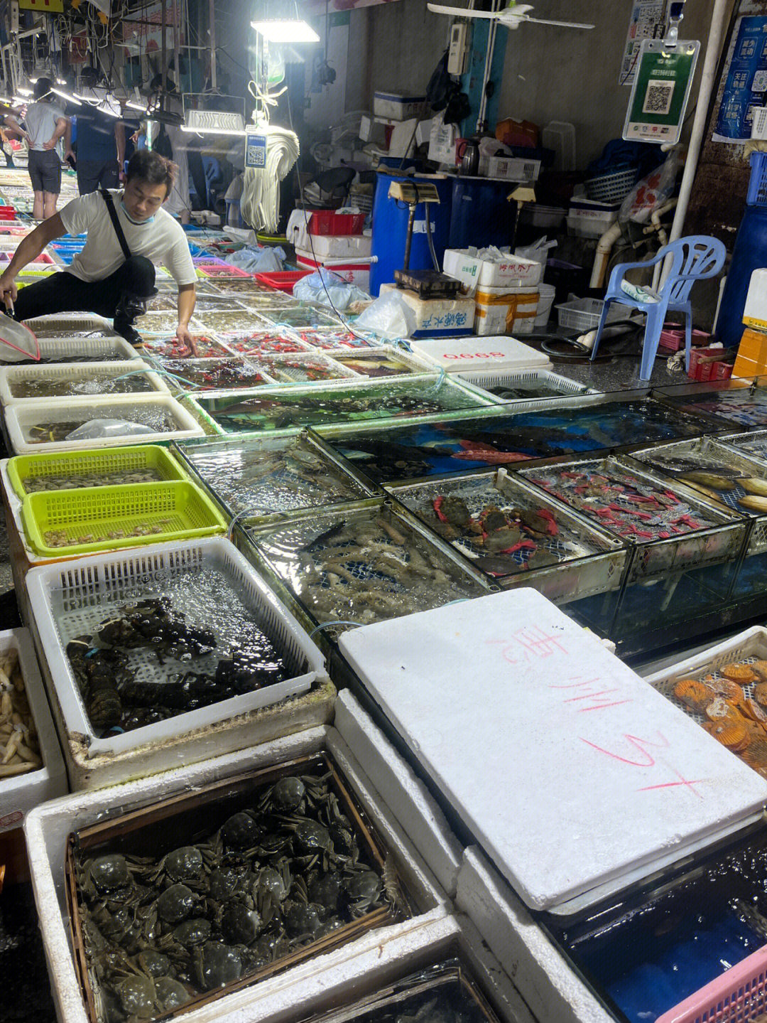 惠州海边海鲜市场实现海鲜自由了