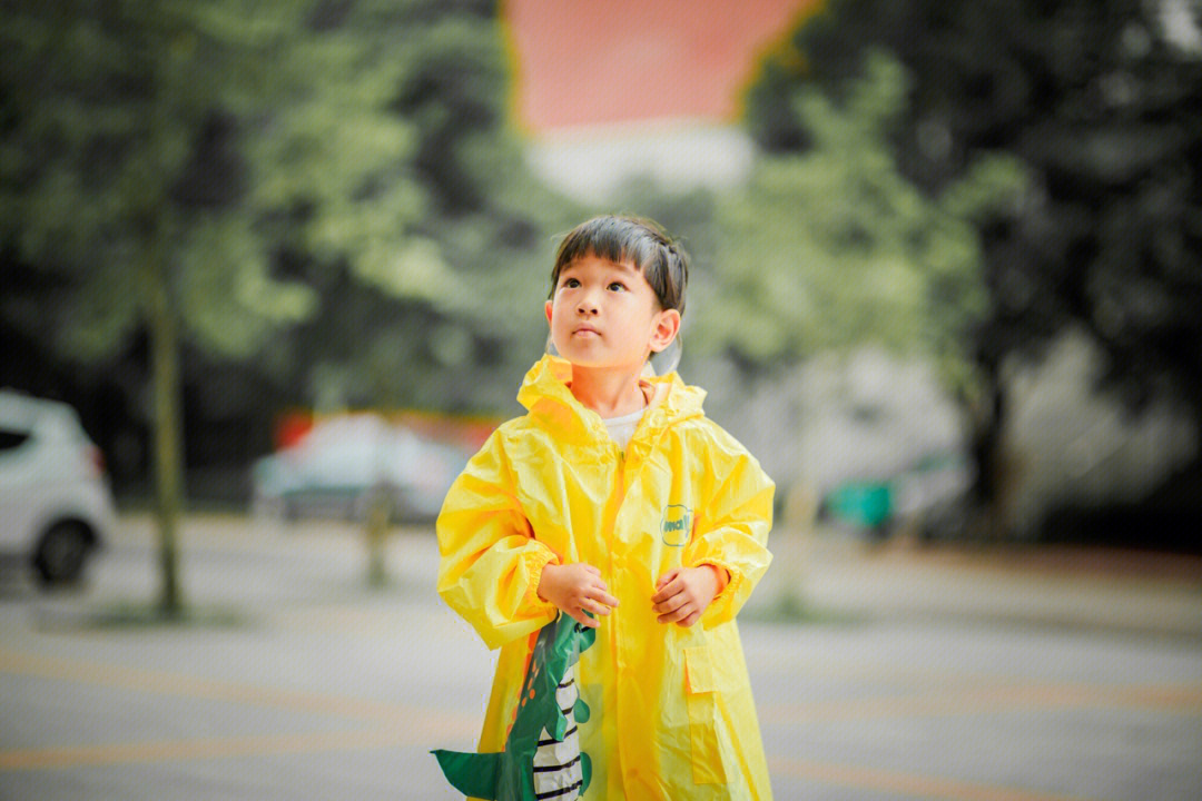 王玫雷和雨图片