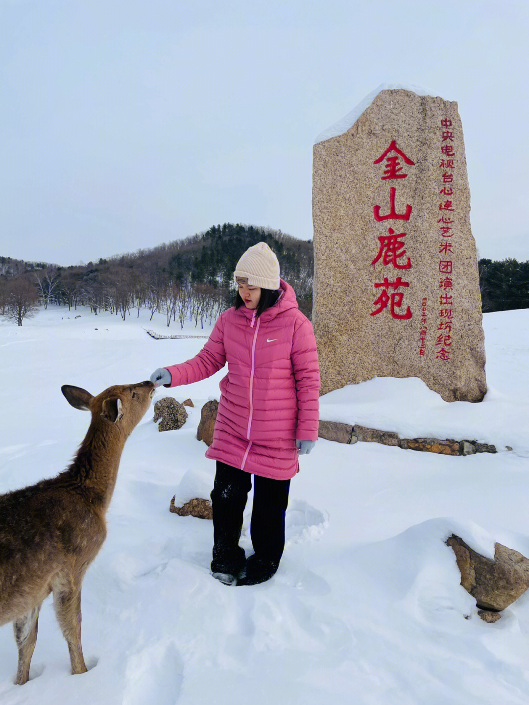 东北小奈良黑龙江伊春鹿苑