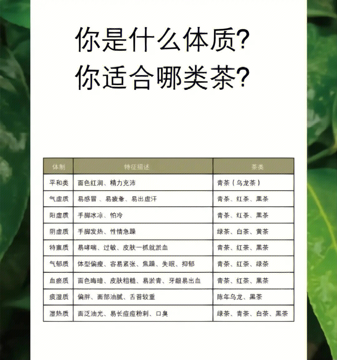 7215绿茶由于发酵度最低,寒性也最强,经常饮用有可能会伤胃,要