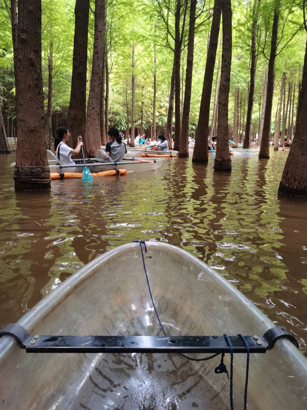 捞鱼河湿地公园划船图片