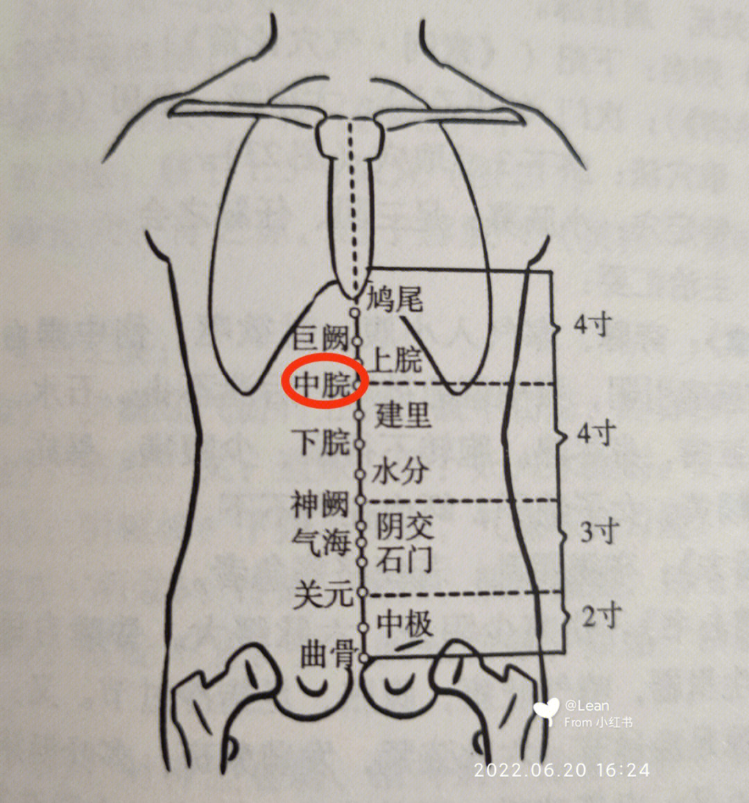 艾灸腰间盘突出位置图图片