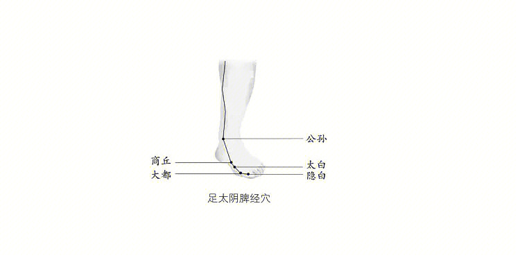 身子胖四肢细肚子胀敲打穴位健康减肥