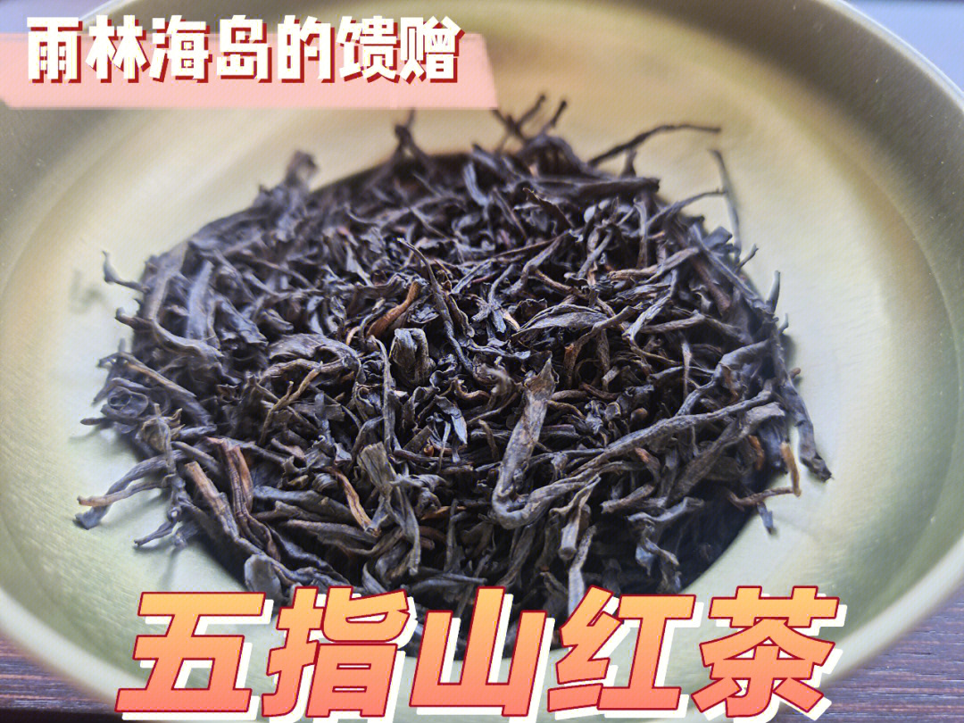 饮茶五指山红茶