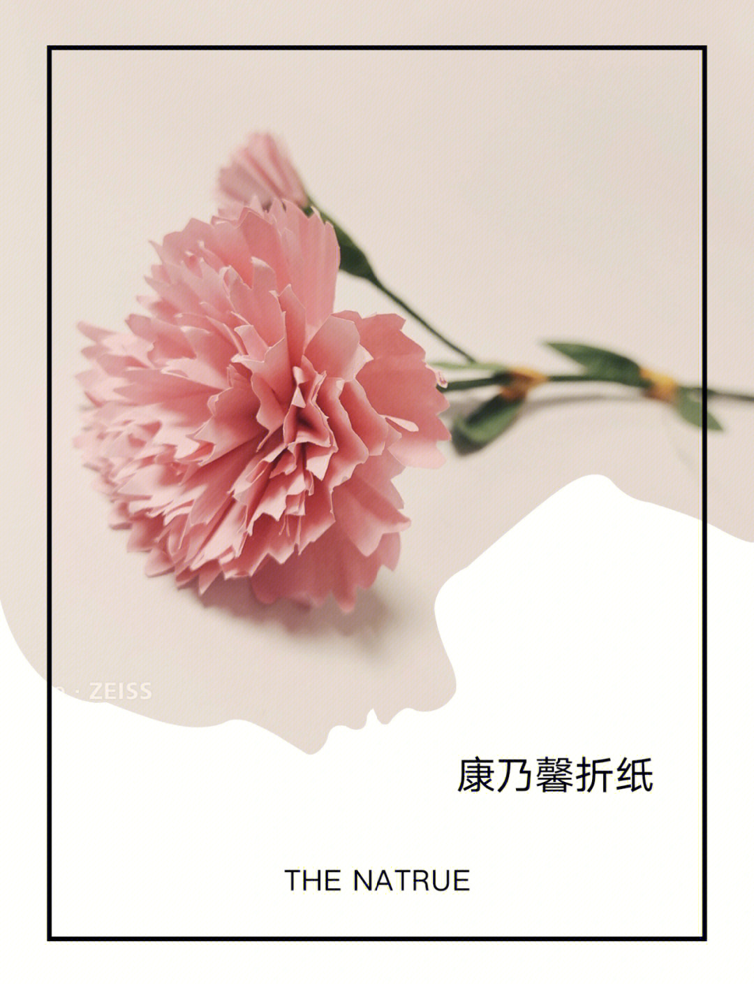 纸花的折法康乃馨图片