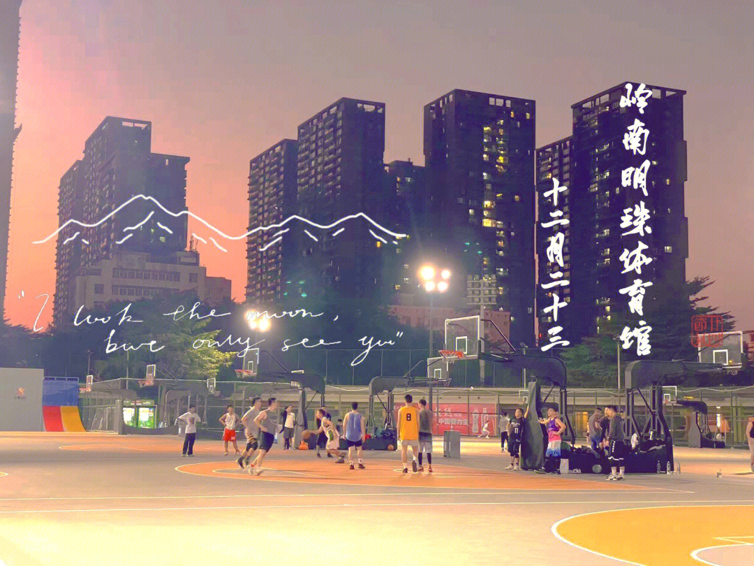 岭南明珠体育馆篮球场图片