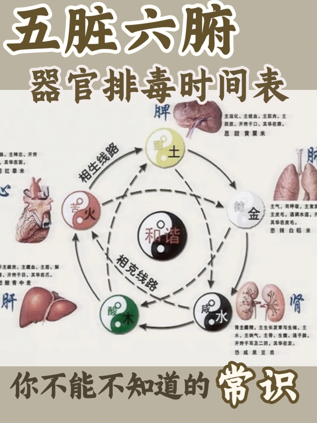 人体排毒的六大通道图片