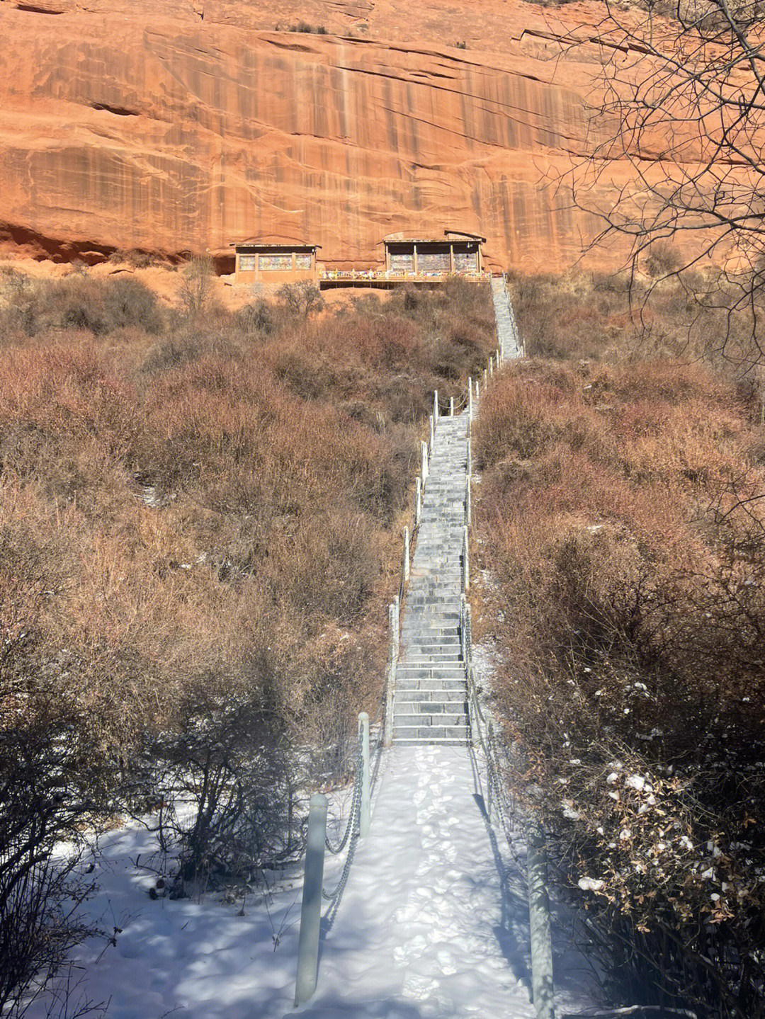 析木金塔寺照片图片