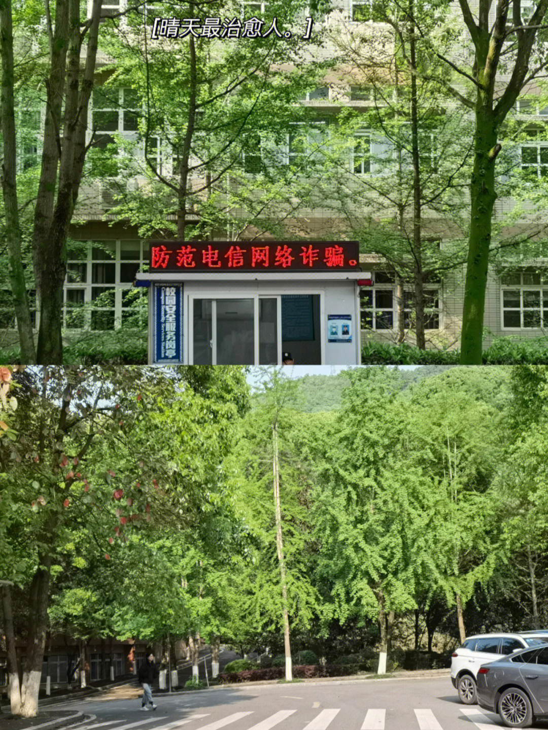 重庆大学封校图片