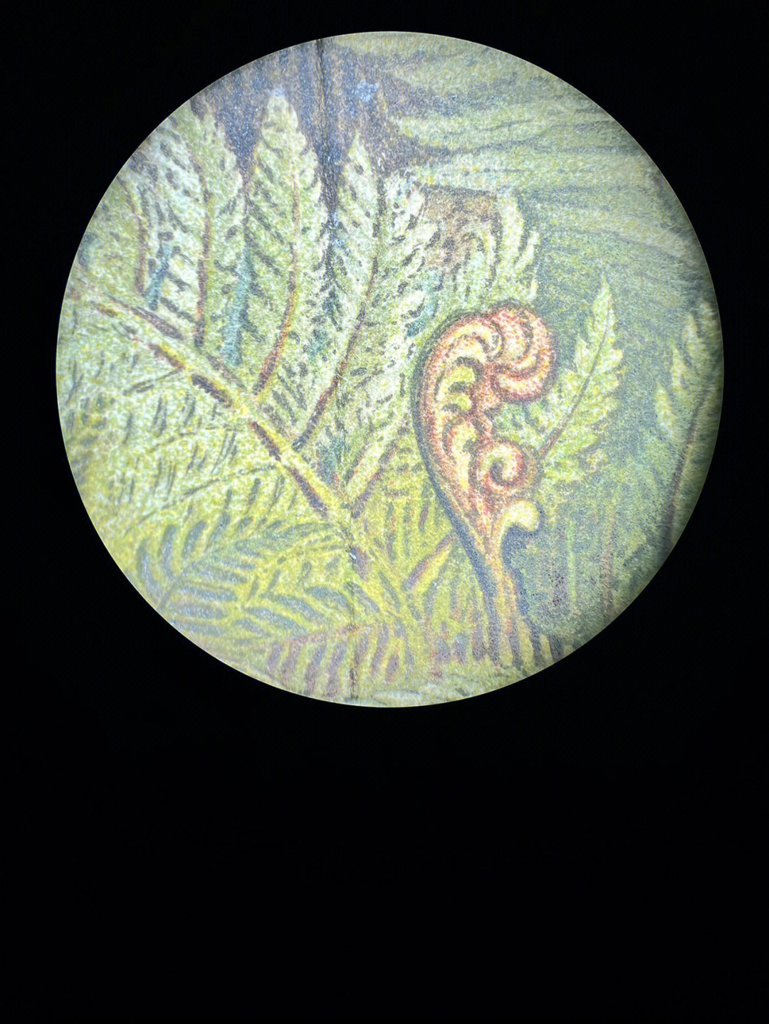 古代绢画显微镜图片图片