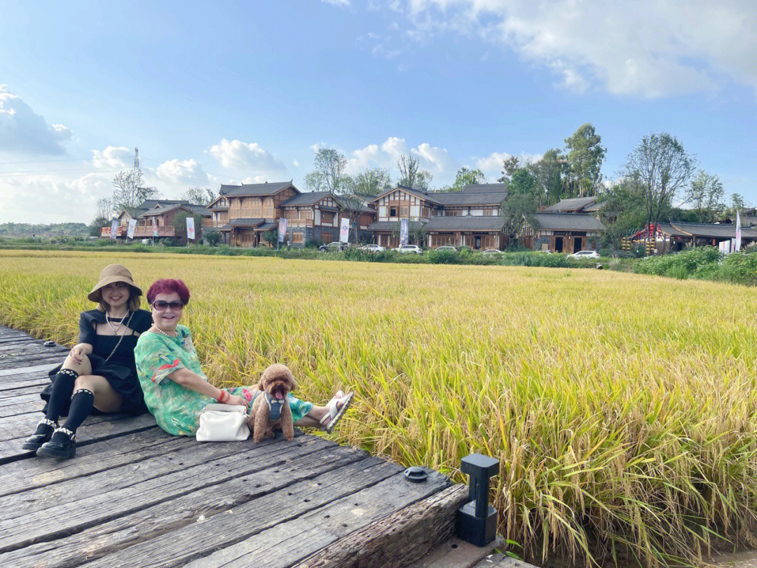 成都周边官塘新村