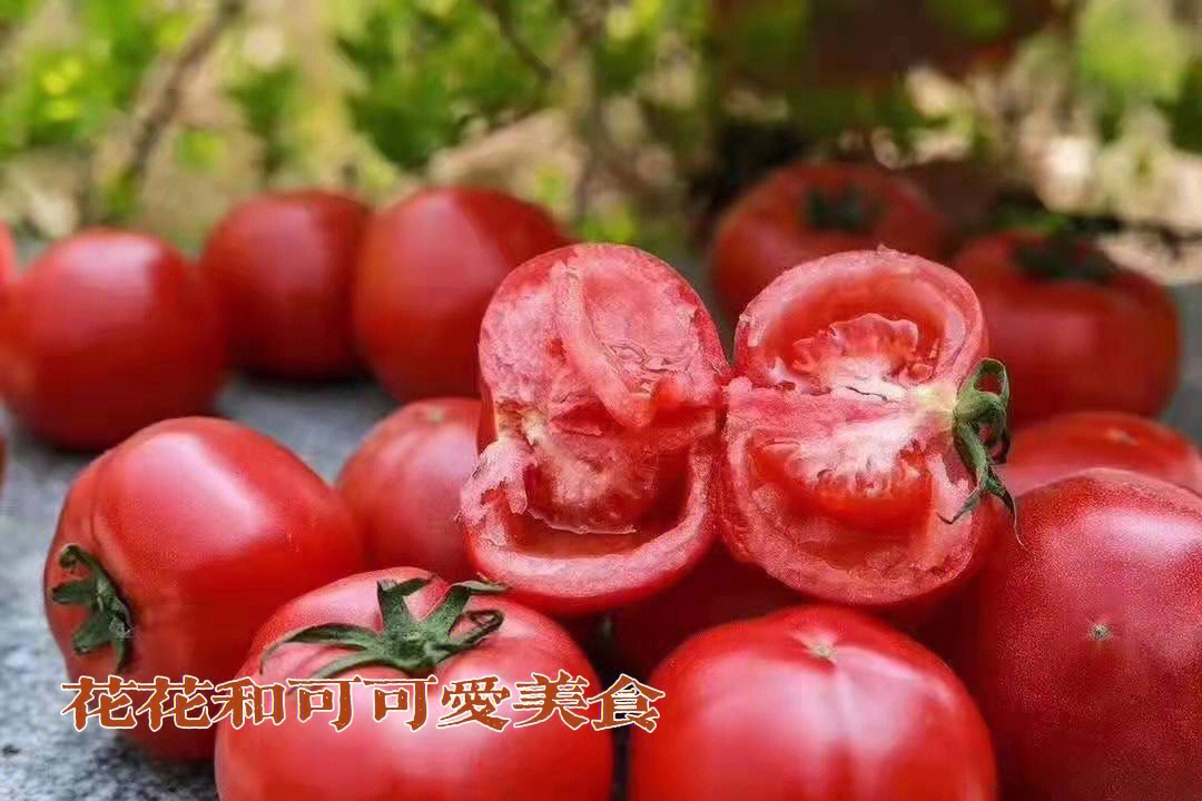 普罗旺斯西红柿广告语图片