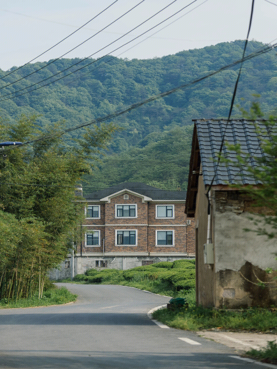 径山闲逛永远羡慕住在山里的人家