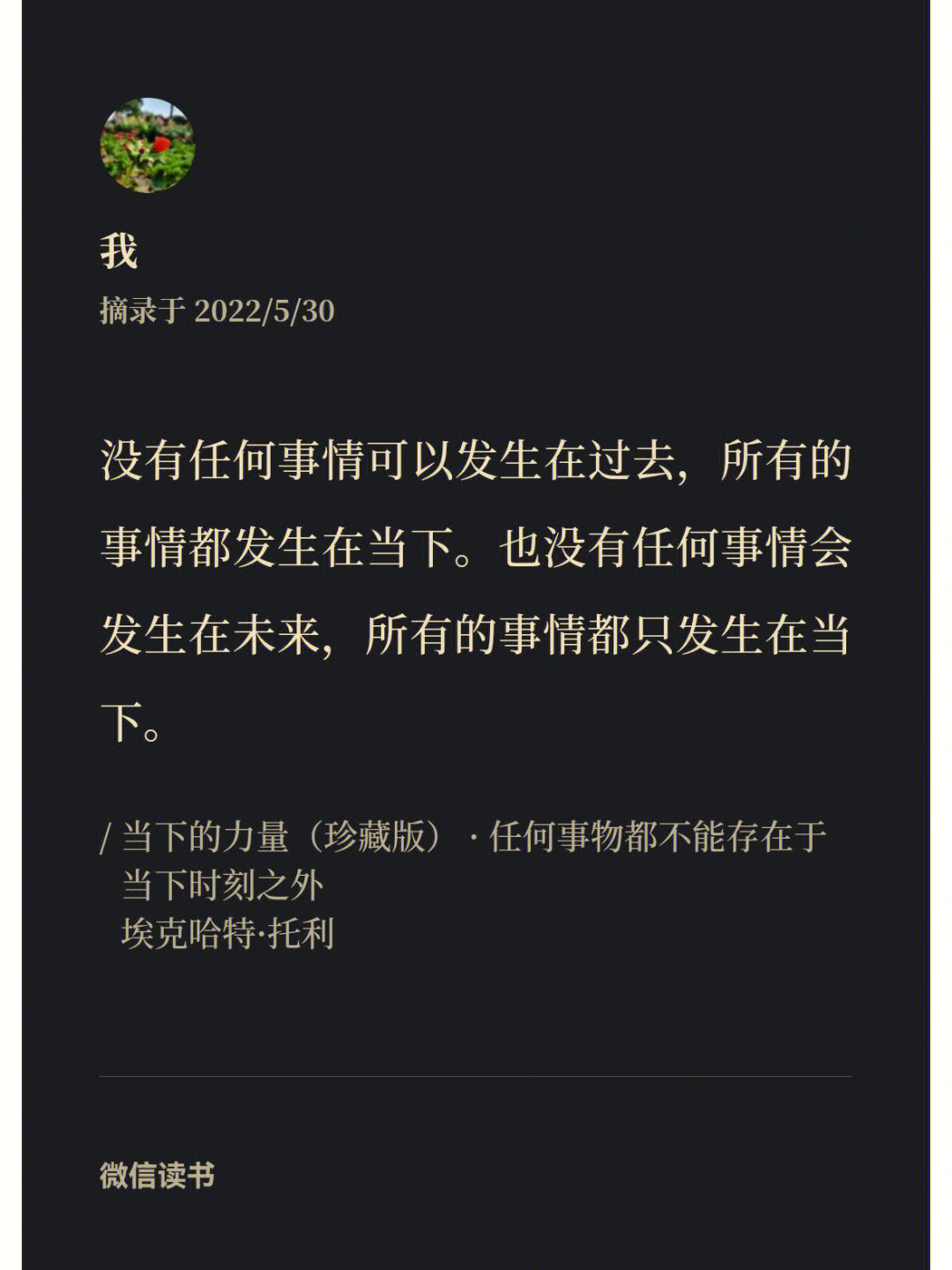 埃克哈特托利的经历图片