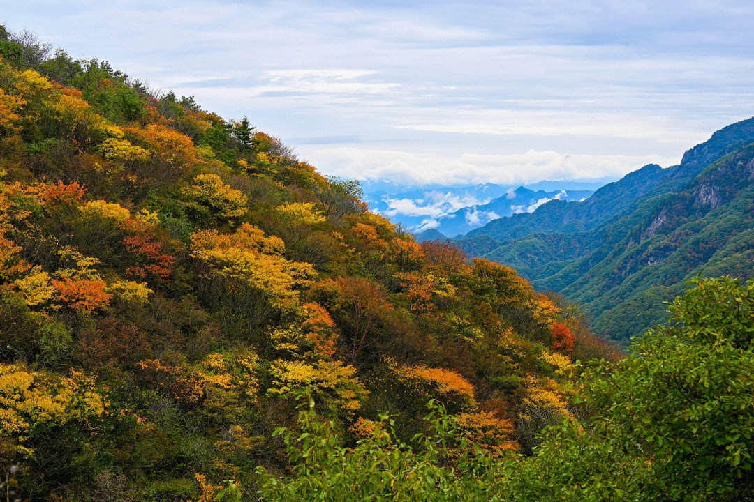 秦岭寻秋