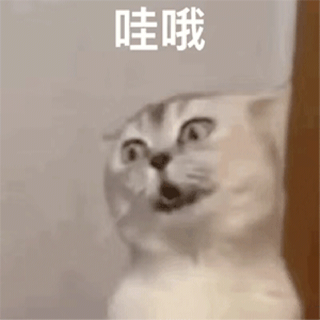 猫表情包后颈图片