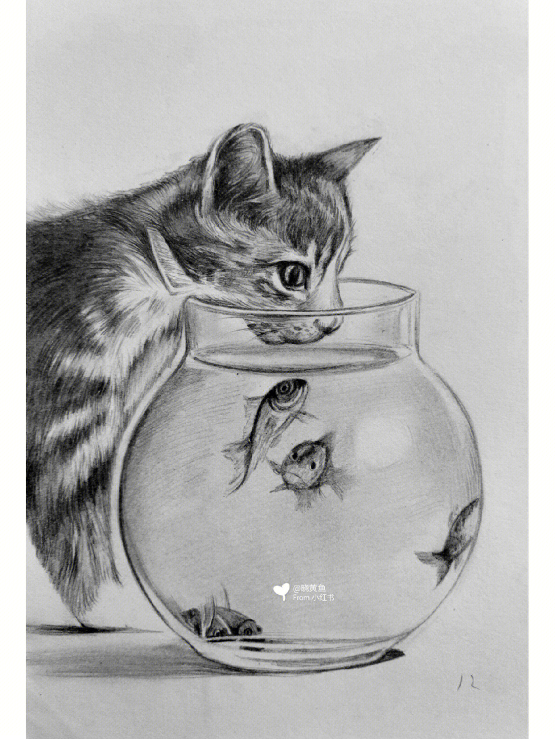 趣味素描动物小猫和鱼