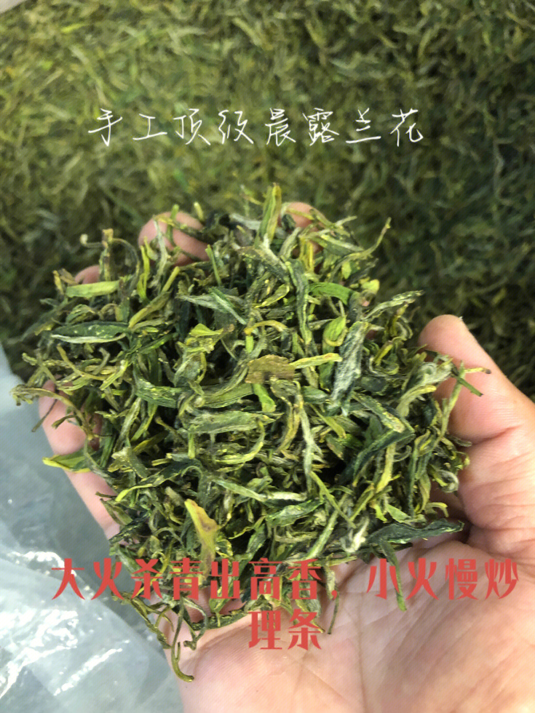 野山茶手工顶级兰花