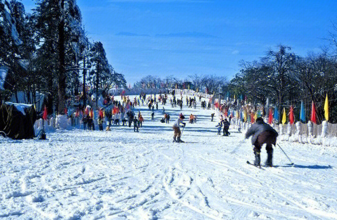 山泰生态园滑雪场电话图片