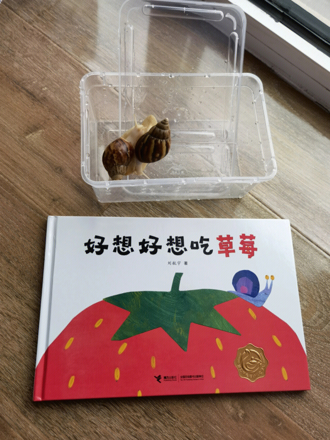 蜗牛看花绘本图片