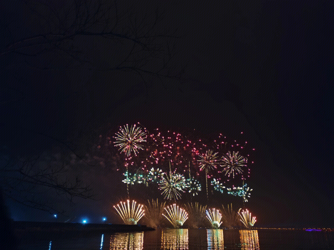 临港新年烟花秀图片