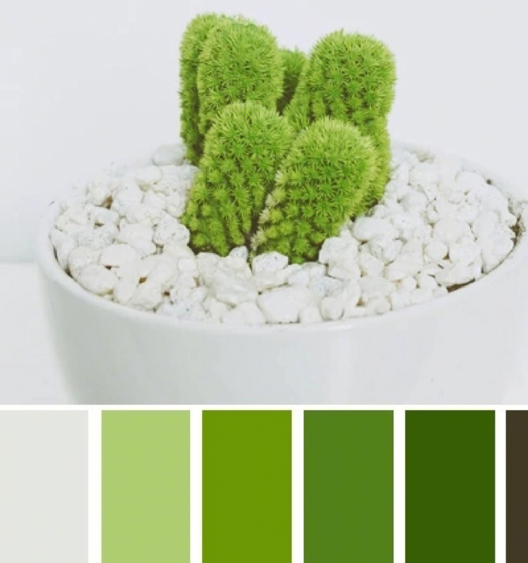 明亮的绿色和白色搭配棕色或米色的点缀——夏日色彩的轻盈,愉悦,宽敞