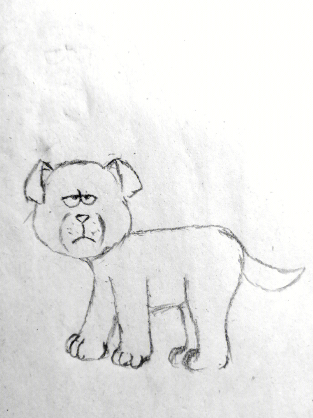 凶猛的大黄狗简笔画图片