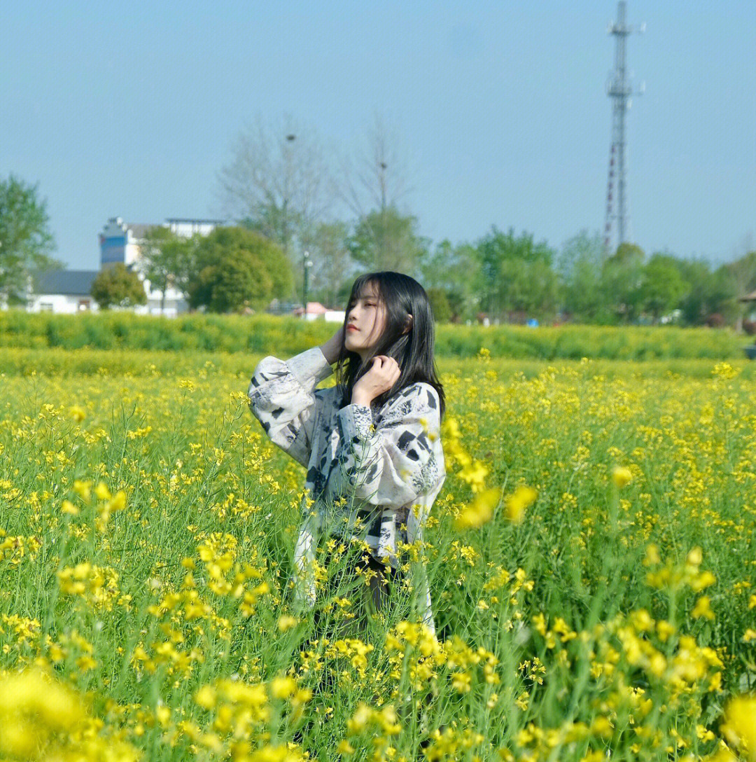 油菜花全开的样子图片