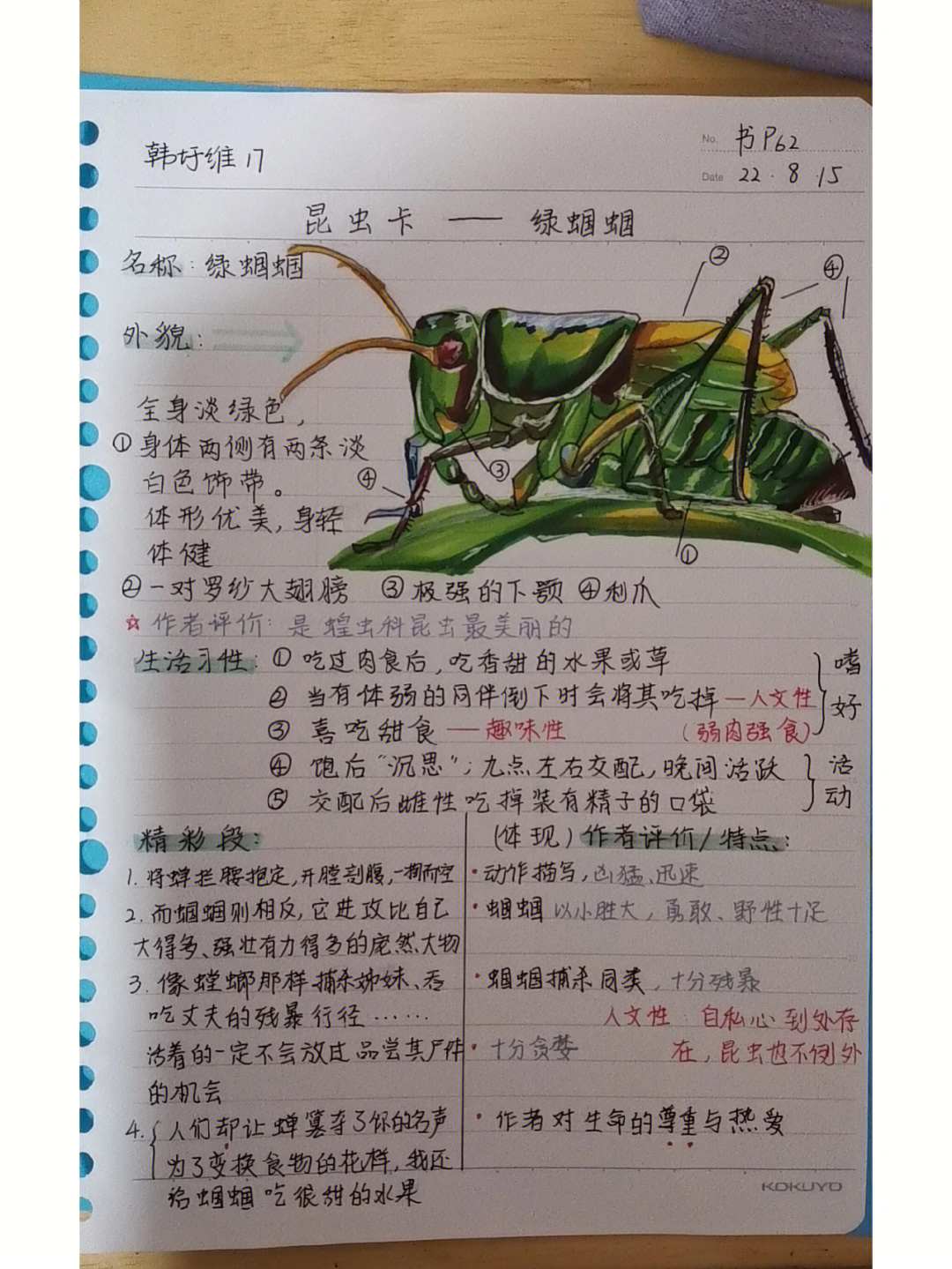 昆虫记录卡三年级简单图片