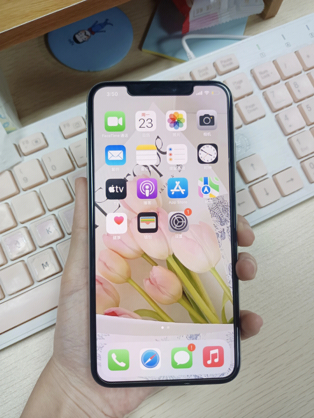 iphonexsmax正面图图片