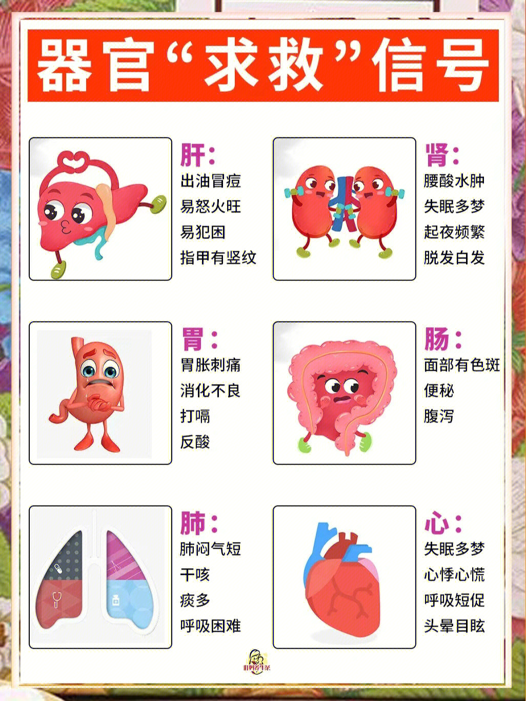 人体的八大排毒口图片