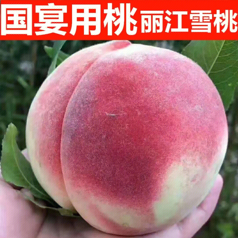 国宴珍品丽江雪桃