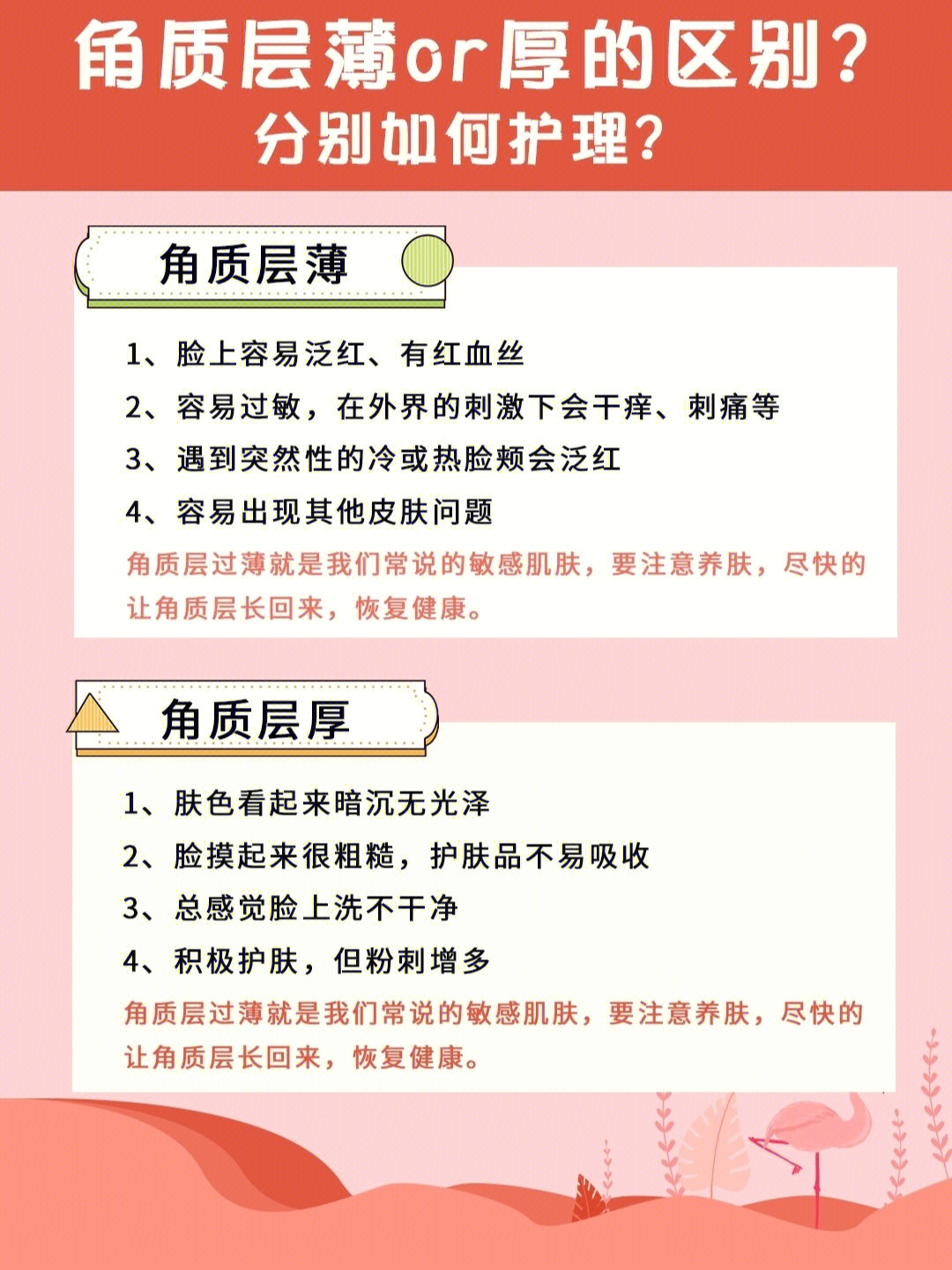 979797角质层薄or厚的区别?979797分别如何护理?