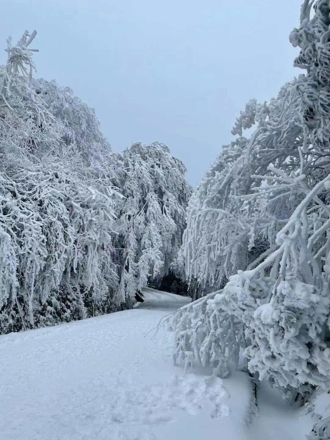 南岳衡山雾凇