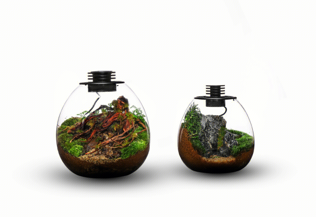 生态瓶的设计方案图片