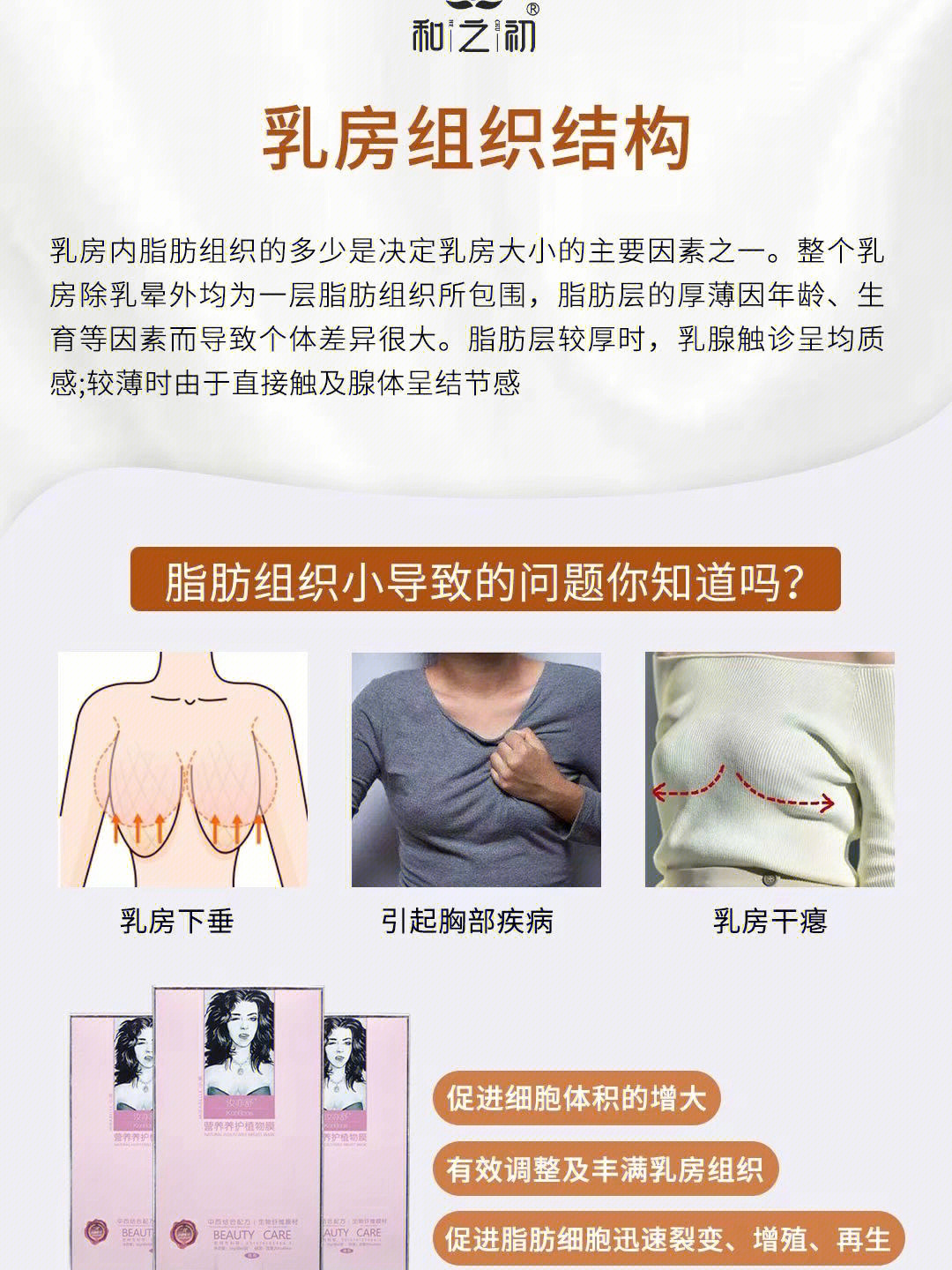 乳腺胸和脂肪胸区分图图片