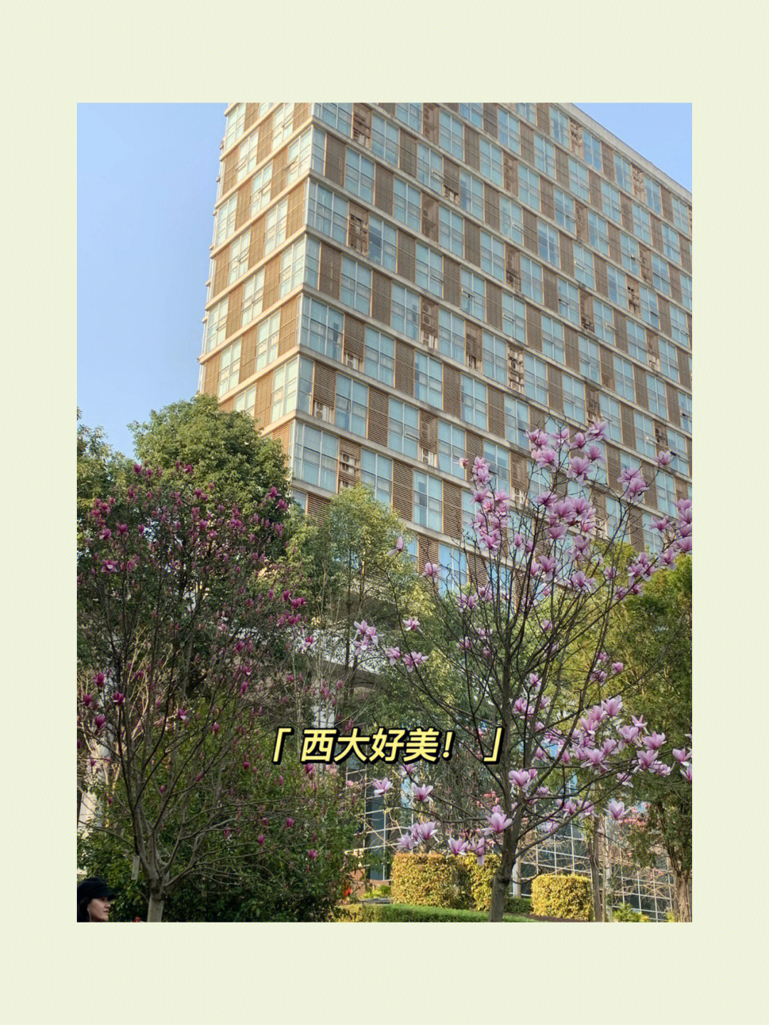 西南大学研究生日常366