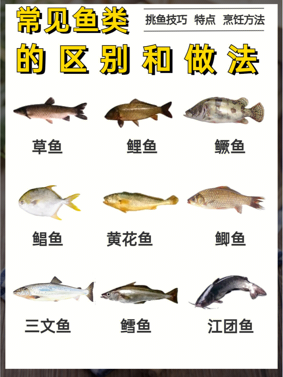 9种常见鱼类的区别及做法166分钟掌握