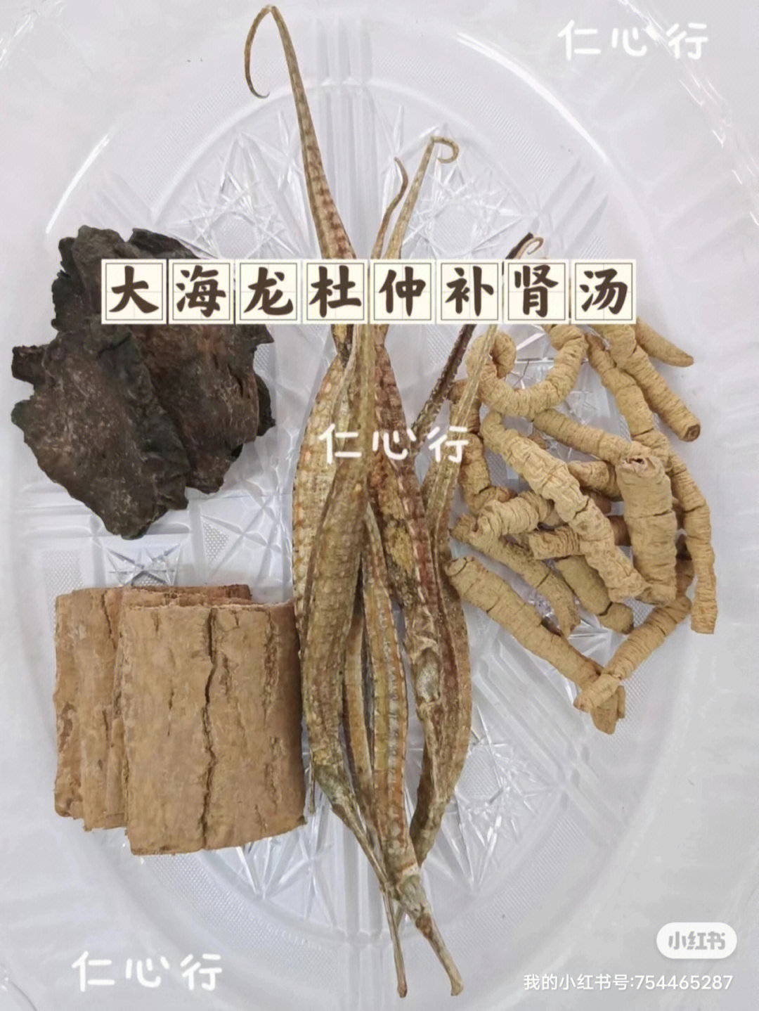 大海龙杜仲补肾汤肾阳不足